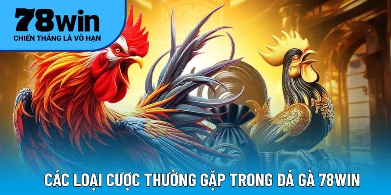 Các loại cược thường gặp trong đá gà 78WIN